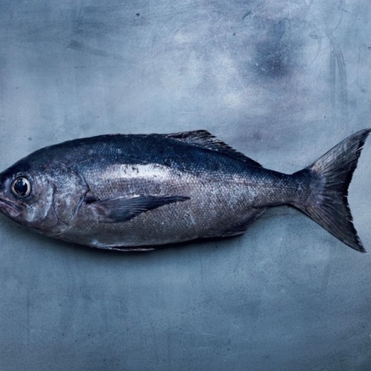 Seafood | Port Fresh Seafoods